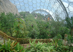 Eden Project, Bodelva