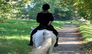 Old Mill Stables, Lelant Downs