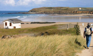 Dog friendly holidays St Ives Bay, Hayle, Cornwall